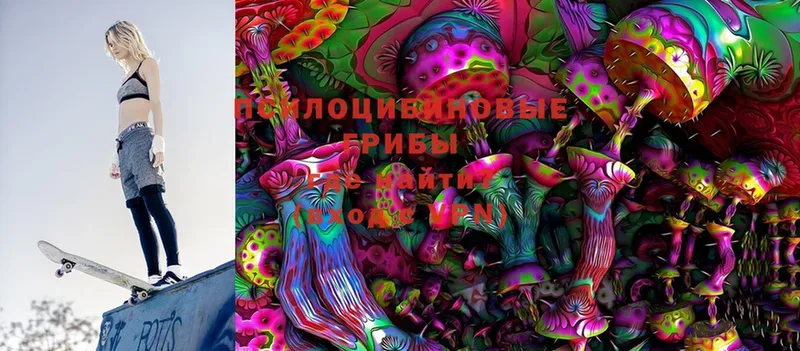 Псилоцибиновые грибы Cubensis  маркетплейс клад  Баймак 